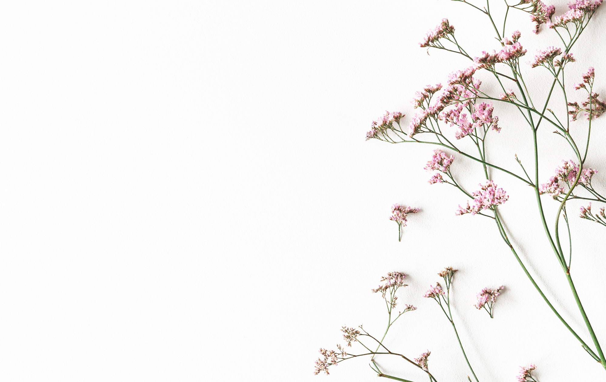 Fruit and floral fragrance oils.