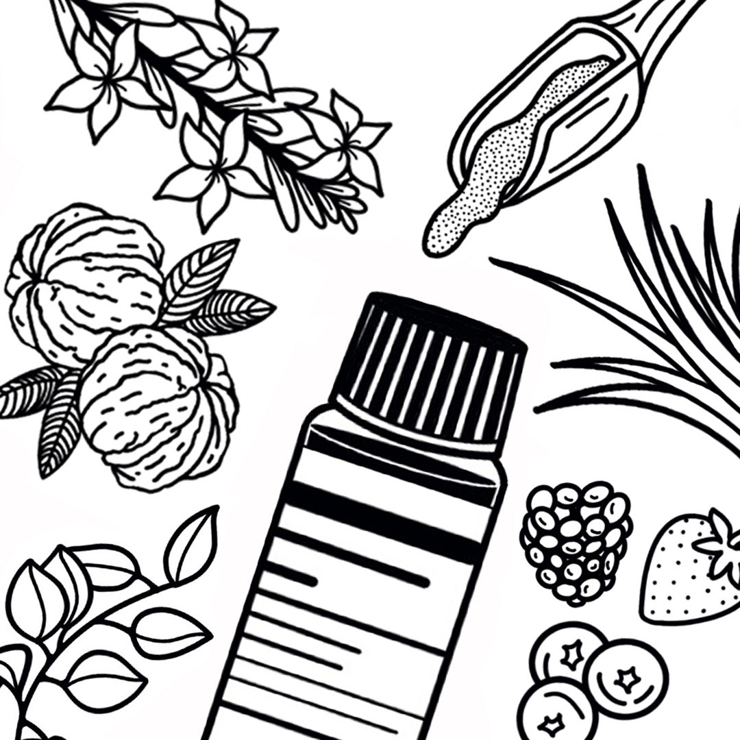 Fragrance note icons for a glossary