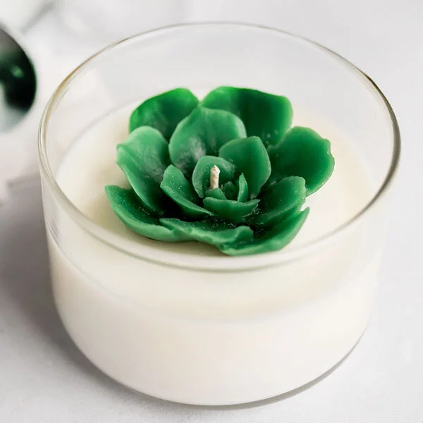 Succulent Candle